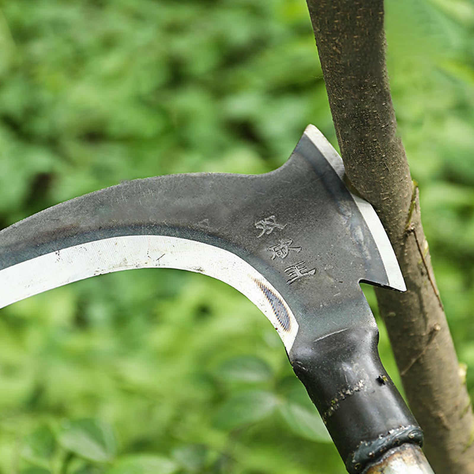 Steel Gardening Axe with Pre H - Woodworking Rasp review and price