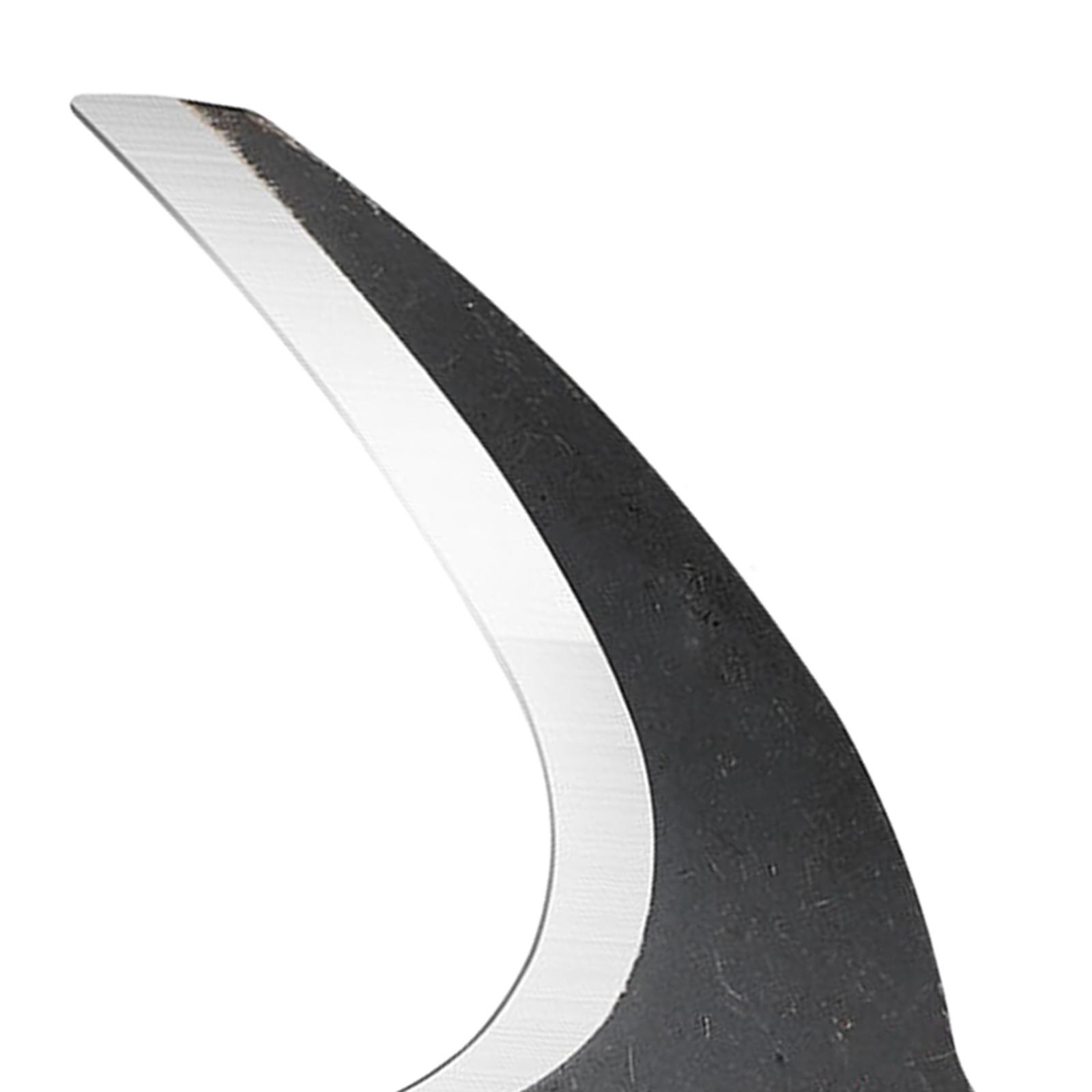 Steel Gardening Axe with Pre H - Woodworking Rasp review and price