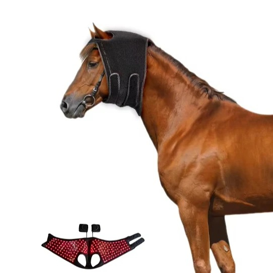Red Light Hoof Therapy Instrum - Woodworking Therapy review and price